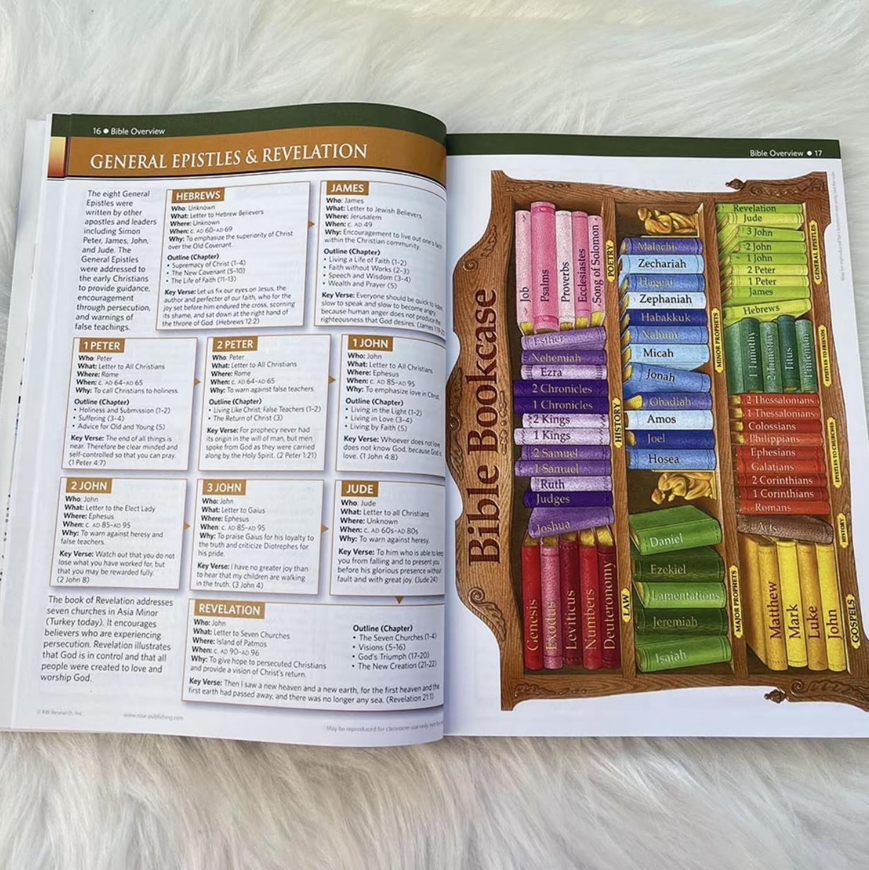 Rose Book of Bible Charts, Maps, and Time Lines -A4 Paperback English colorful new bible Religion & Philosophy