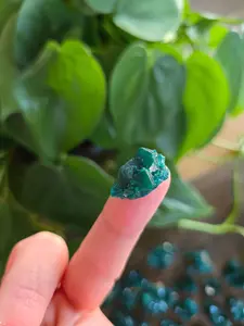 Dioptase Rough Crystal Specimen - Congo (9)