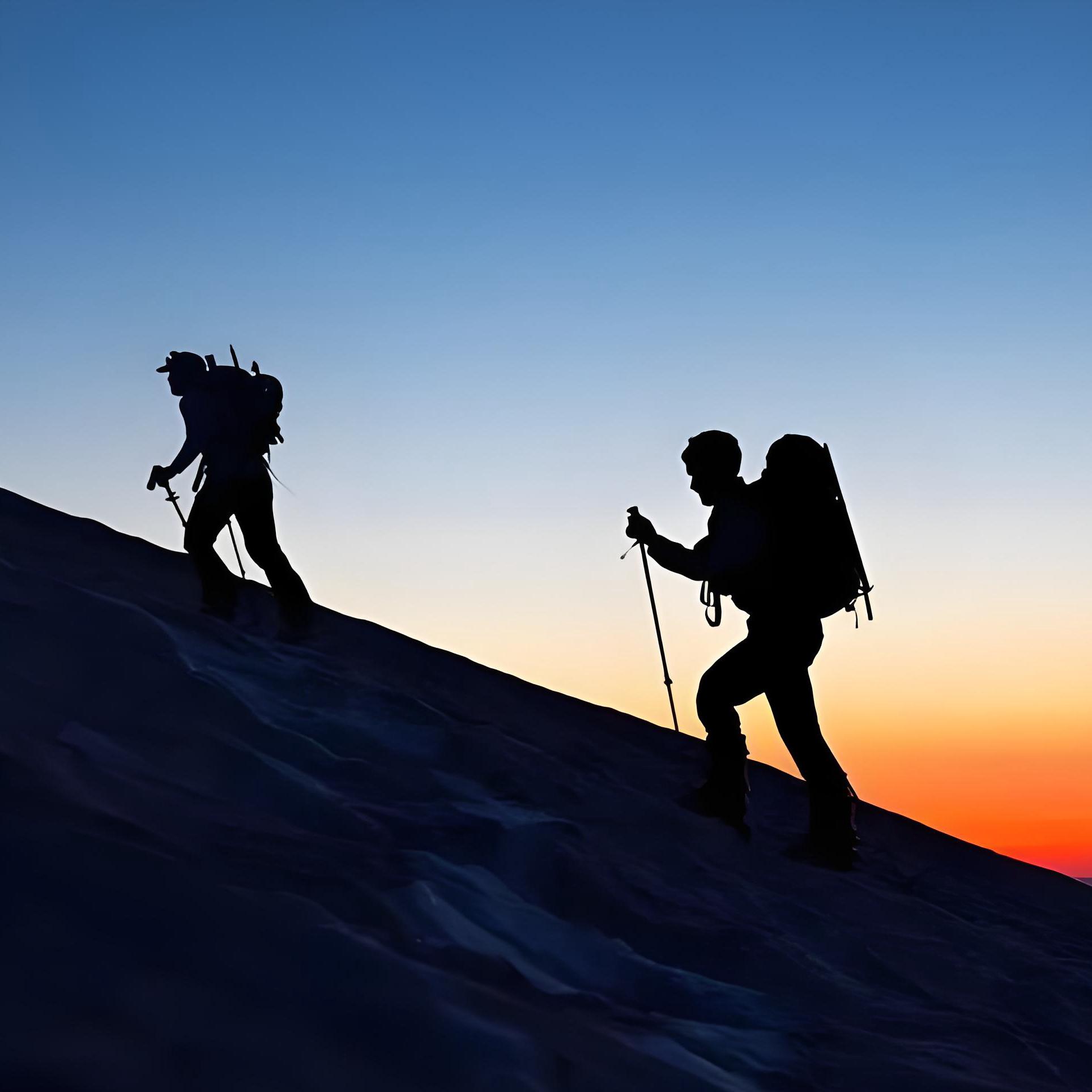 Multifunctional Trekking Pole Premium Alloy Steel Walking Poles Set Compact Foldable Design with Cushioned Handles 3-Section Telescopic Stick for Hiking & Camping