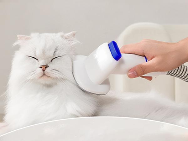 Geoorood Dog Grooming All-in-One Kit with Vacuum Brush 2.2L Large Pog Stainless Steel Blades Lightweight Design 10KPa Suction Force Portable Cleaning Set Geoorood Dog Grooming All-in-One Kit with Vacuum Brush 2.2L Large Pog Stainless Steel Blades Lightweight Design 10KPa Suction Force Portable Cleaning Set