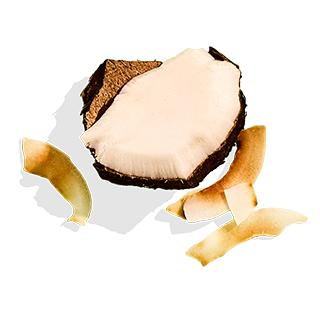 ALOHA Chocolate Protein Powder - 15 Servings - Certified USDA Organic - 100% Plant-Based - 18g Of Protein