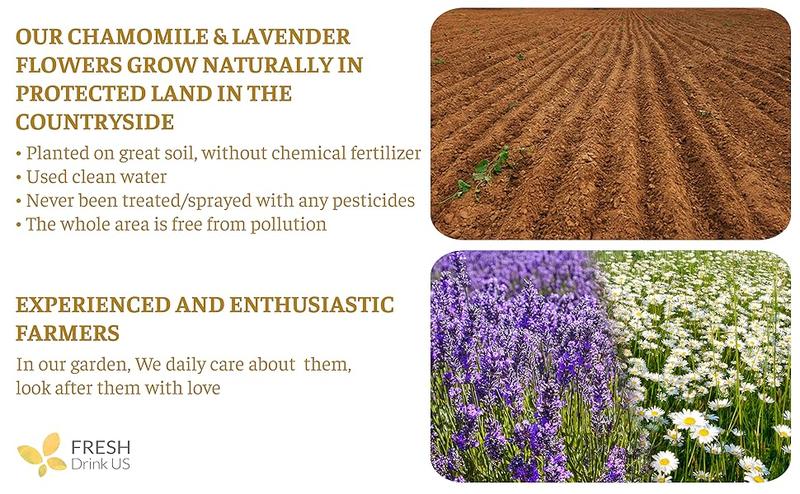 60 Chamomile Lavender Tea Bags, 100% Natural Ingredients, Hand-made Blend of Chamomile and Lavender Flowers, Eco-conscious Tea Bags. Chamomile Lavender Herbal Tea. No Sugar, No Caffeine, No Gluten, Vegan. Beverage