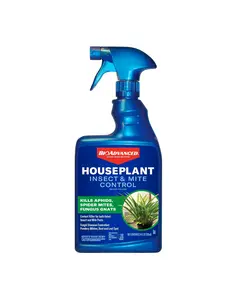 BioAdvanced Houseplant Insect & Mite Control, Ready-to-Use Fungul Disease & Fungus Gnats Killer, 24 oz