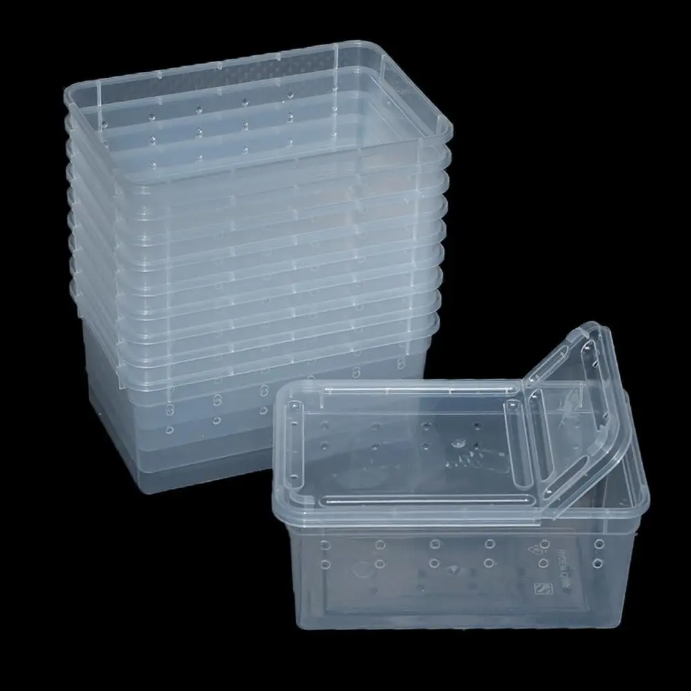  10 Pack Plastic Reptile Breeding Box, Mini Terrarium Insect Feeding Container for Spider Gecko Scorpion Bearded Dragon Lizard, 5.9 x 3.9 x 2.5 Inches