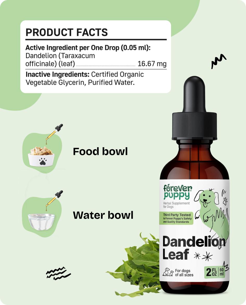 Dandelion Leaf Drops for Dogs - Kidney Health Liquid Supplement for Large, Medium & Small Dogs - Kidney Cleanse Detox Drops w/Dandelion Leaves Tincture - 2 oz
