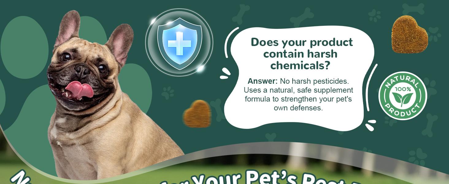 Dog Flea & Tick Support Soft Chews - Natural Oral Supplement - Suitable for All Breeds & Sizes - 150 Chicken Treats