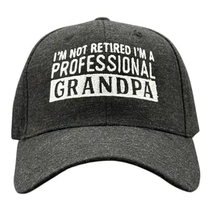 Im Not Retired Im A Professional Grandpa Hat Funny Papa Fathers Day Baseball Cap Funny Hats Dad Joke  Funny Grandpa  Novelty Caps for Men Black - Standard
