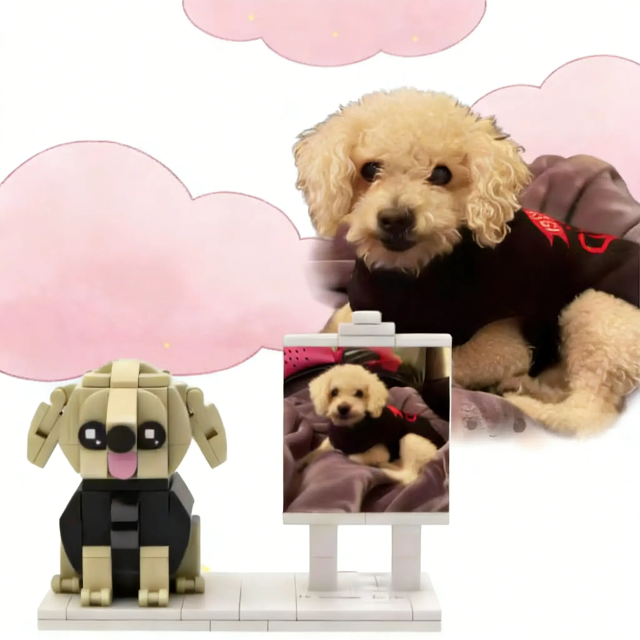 【Pet + Photo Frame】
