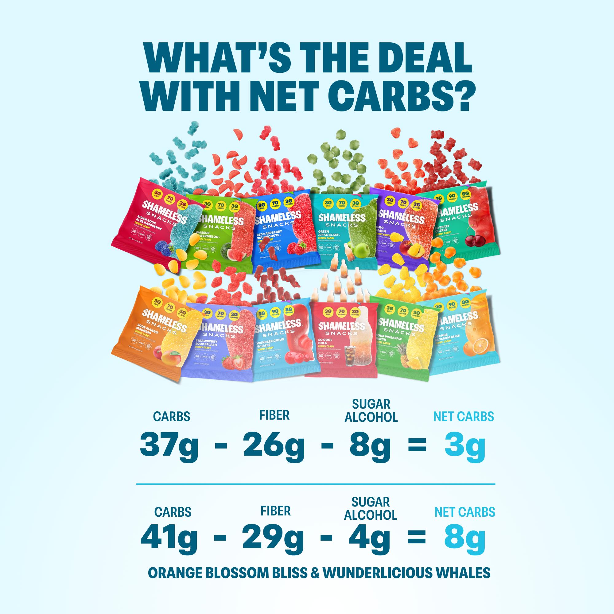 Shameless Snacks Exclusive 12 Flavor Bundle Low Sugar Gummy Candy Variety Pack Keto Friendly Gluten Free Healthy Snack Mix All OG Classic New Flavors Included