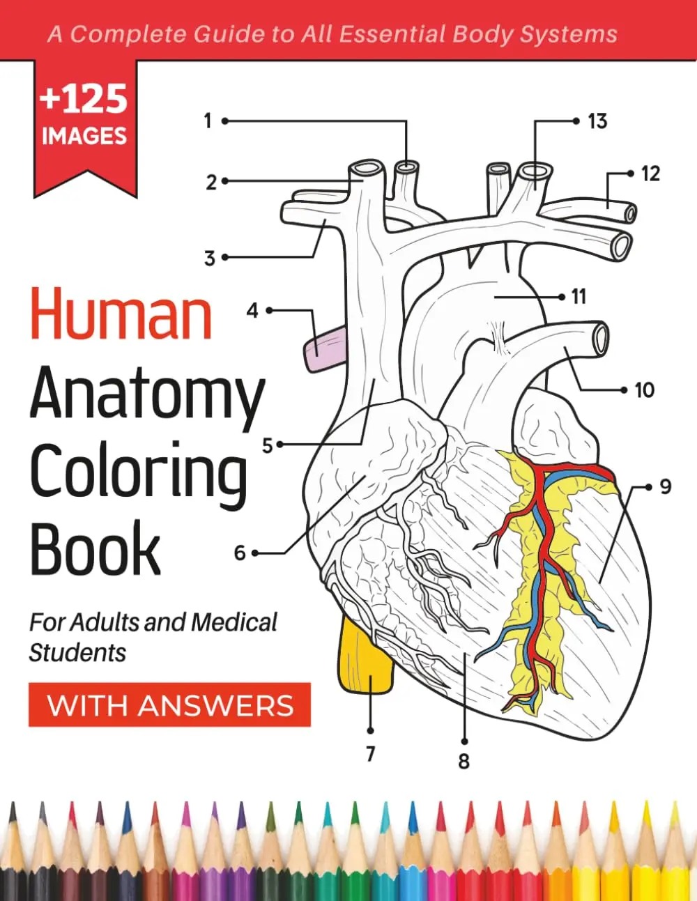 Human Anatomy Coloring Book For Adults & Medical Students - A Complete Guide to All Essential Body System: Learn and Master the Physiology of the Human Body through Colouring and Labelling