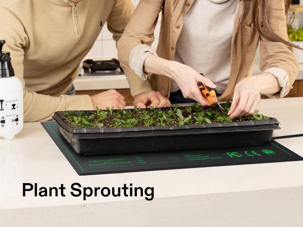 VIVOSUN Seedling Heat Mat and Digital Thermostat Combo Set, UL & MET-Certified Heating Pad for Hydroponic, Kombucha Tea, Brewing, Fermentation & Plant Germination VIVOSUN Seedling Heat Mat and Digital Thermostat Combo Set, UL & MET-Certified Heating Pad for Hydroponic, Kombucha Tea, Brewing, Fermentation & Plant Germination
