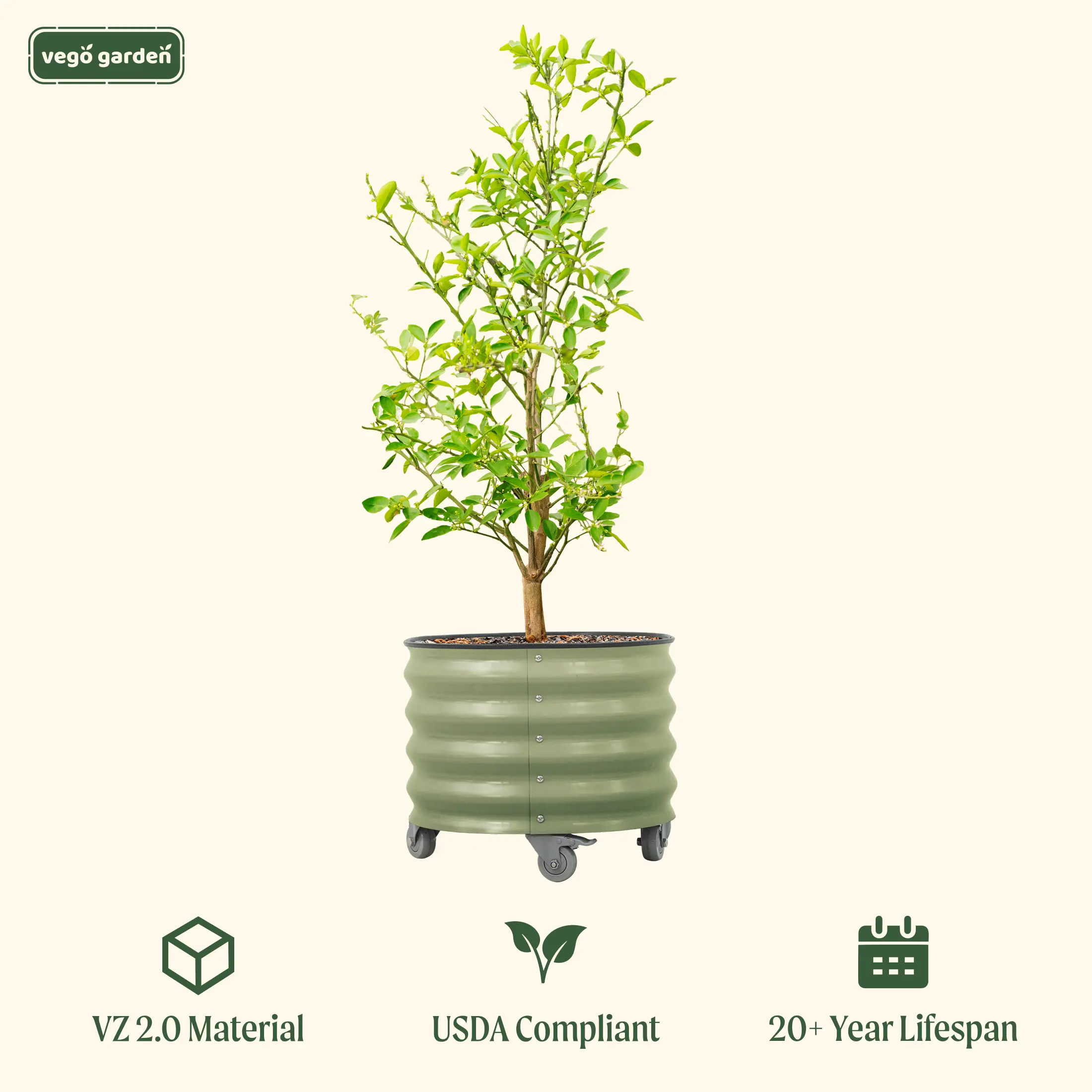 Vego Garden 20 Gallon Rolling Planter Metal Citrus Tree Planter with Wheels for Patio Porch & Backyard Classic Design for Dwarf Trees