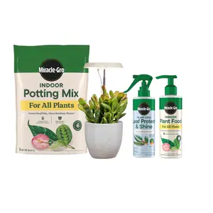 Starter Bundle - Deluxe