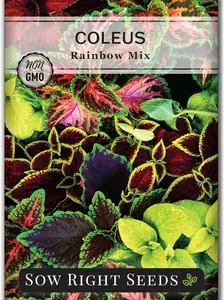 Sow Right Seeds - Coleus Rainbow Mix Seeds for Planting - Beautiful Flowers to Plant in a Home Garden - Indoors or Outdoors - Non-GMO Heirloom Seeds - Attractive & Colorful - Great Gardening Gift (1)