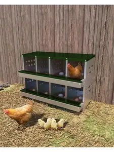 Metal Chicken Nesting Box For Laying Eggs, Rustproof Wall-Mountable Roll Away Chicken Laying Boxes For Hens, Waterproof, Ventilated With Perch, 8 Compartments, Green
