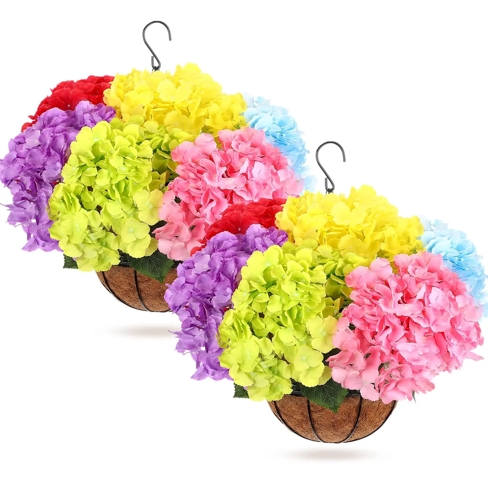 Colorful（Hydrangea）