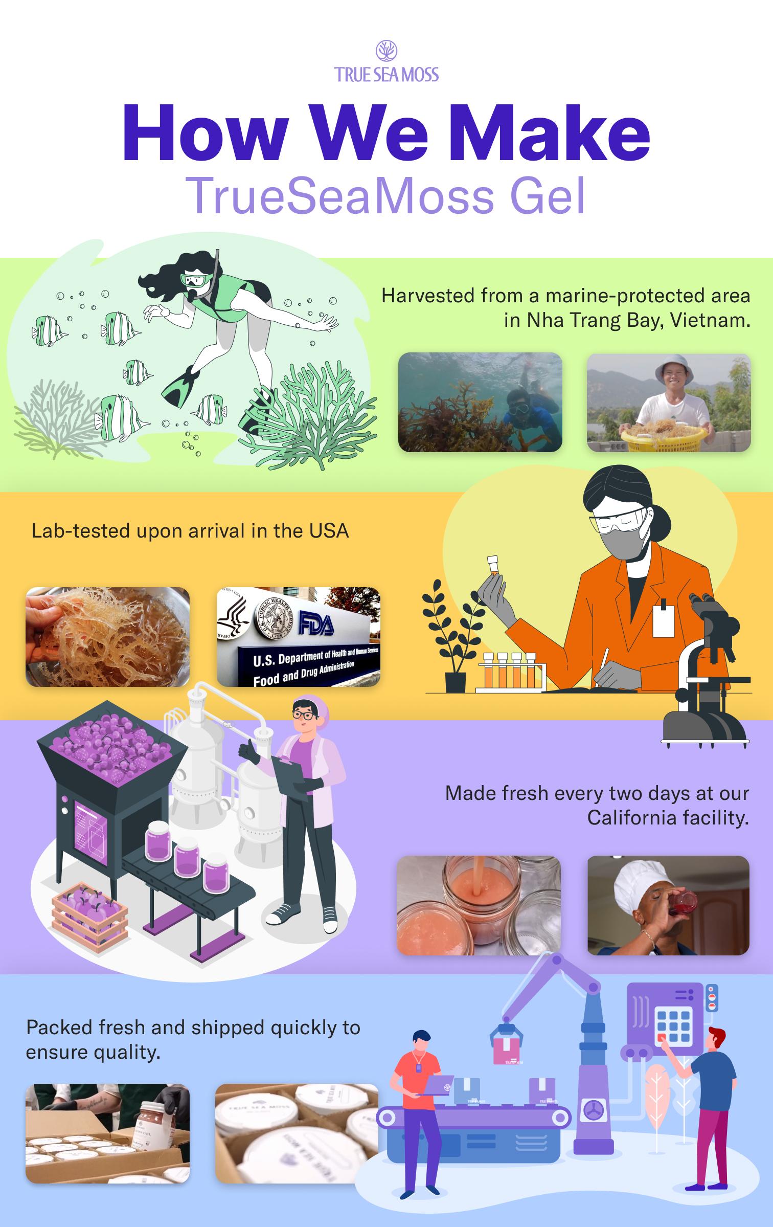 True Sea Moss 2-Bottle Bundle: Mango-Pineapple & Blue Spirulina-Raspberry – Rich in Essential Minerals & Vitamins – supports vitality True Sea Moss 2-Bottle Bundle: Mango-Pineapple & Blue Spirulina-Raspberry – Rich in Essential Minerals & Vitamins – supports vitality