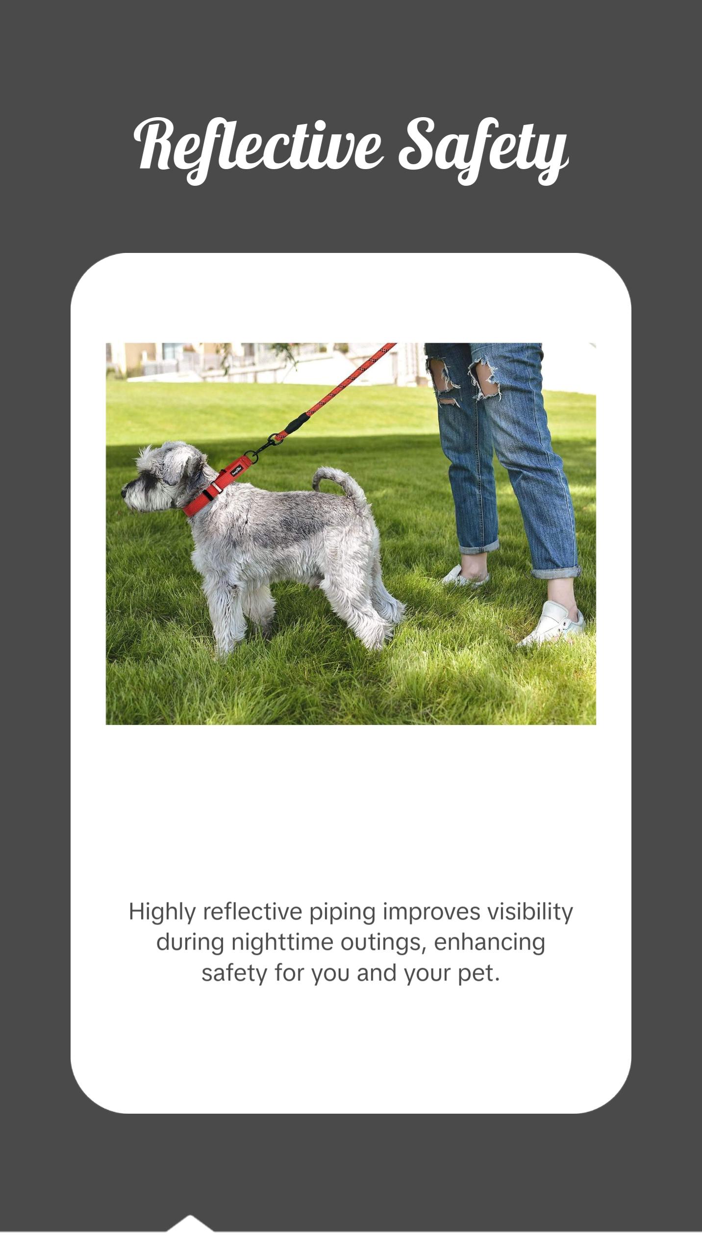 2 Packs Martingale Dog Collar with Quick Release Buckle Reflective Dog Training Collars for Small Medium Large Dogs