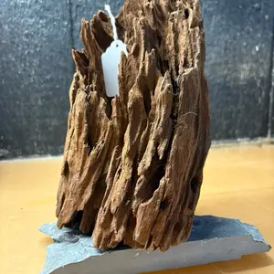 Malaysian Driftwood (8x7x12) Natural Driftwood