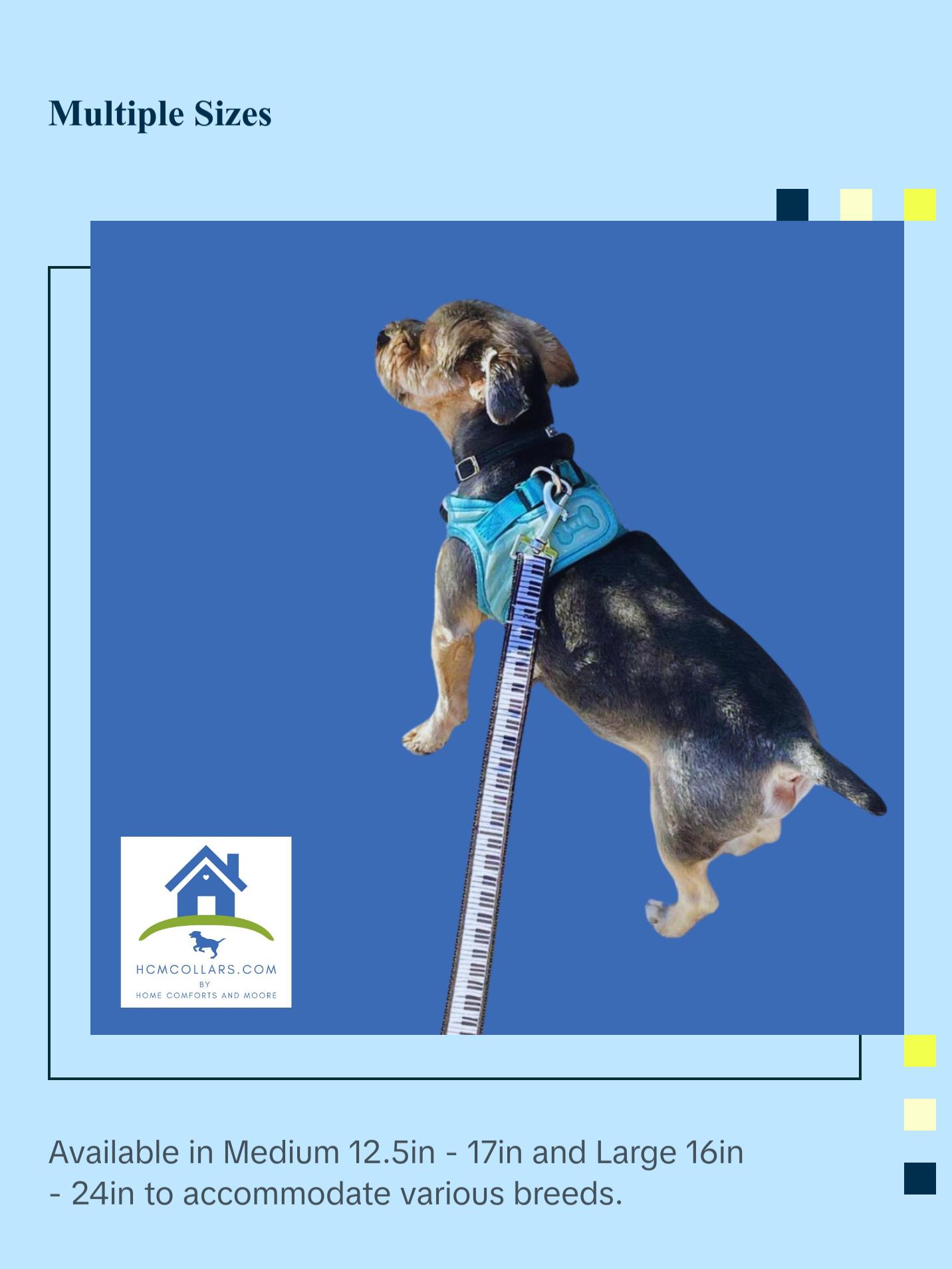 Piano Keys Dog Collar