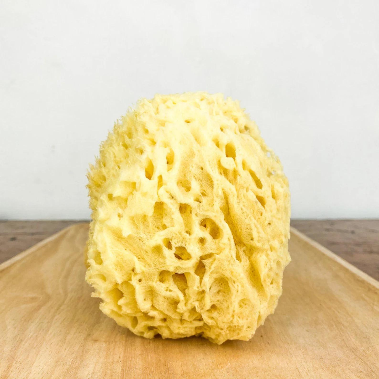 The Dérma Sponge - Nisiá 100% Natural Silk Sea Sponge For Facial Cleansing Skincare