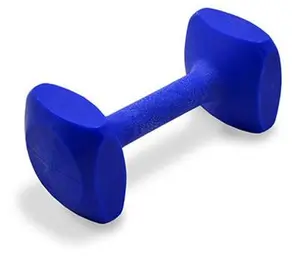 Ray Allen Blue Plastic Dumbbell