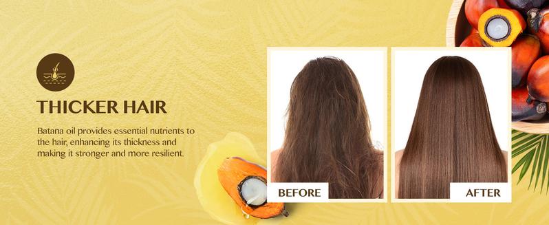 Raw Batana Oil for Hair Care: 100% Pure - Dr. Sebi Batana Oil from Honduras - For Thicker & Stronger Hair Men & Women 4.2 OZ Haircare Comfort