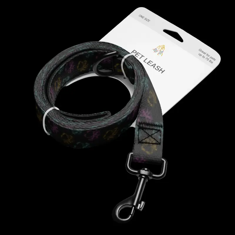 Silent Orbit Leash in Black (PetSync)