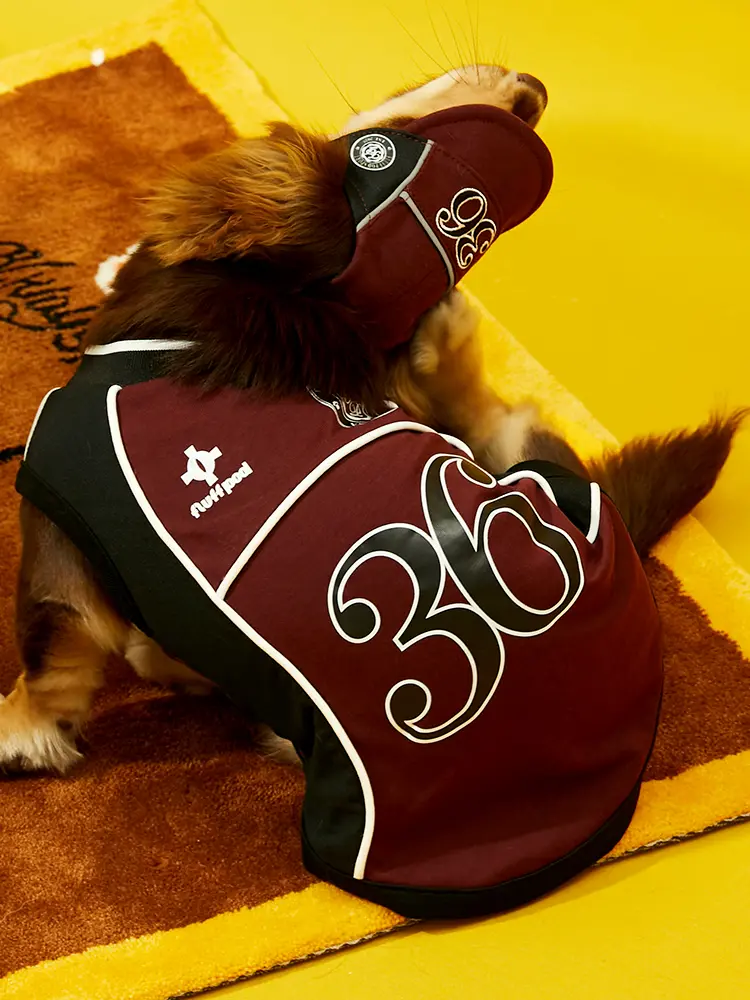 vest and hat set, baseball cap and vest for small to medium-sized  such as Dachshunds, Bichon Frises, and Schnauzers. dog clothes winter outfit