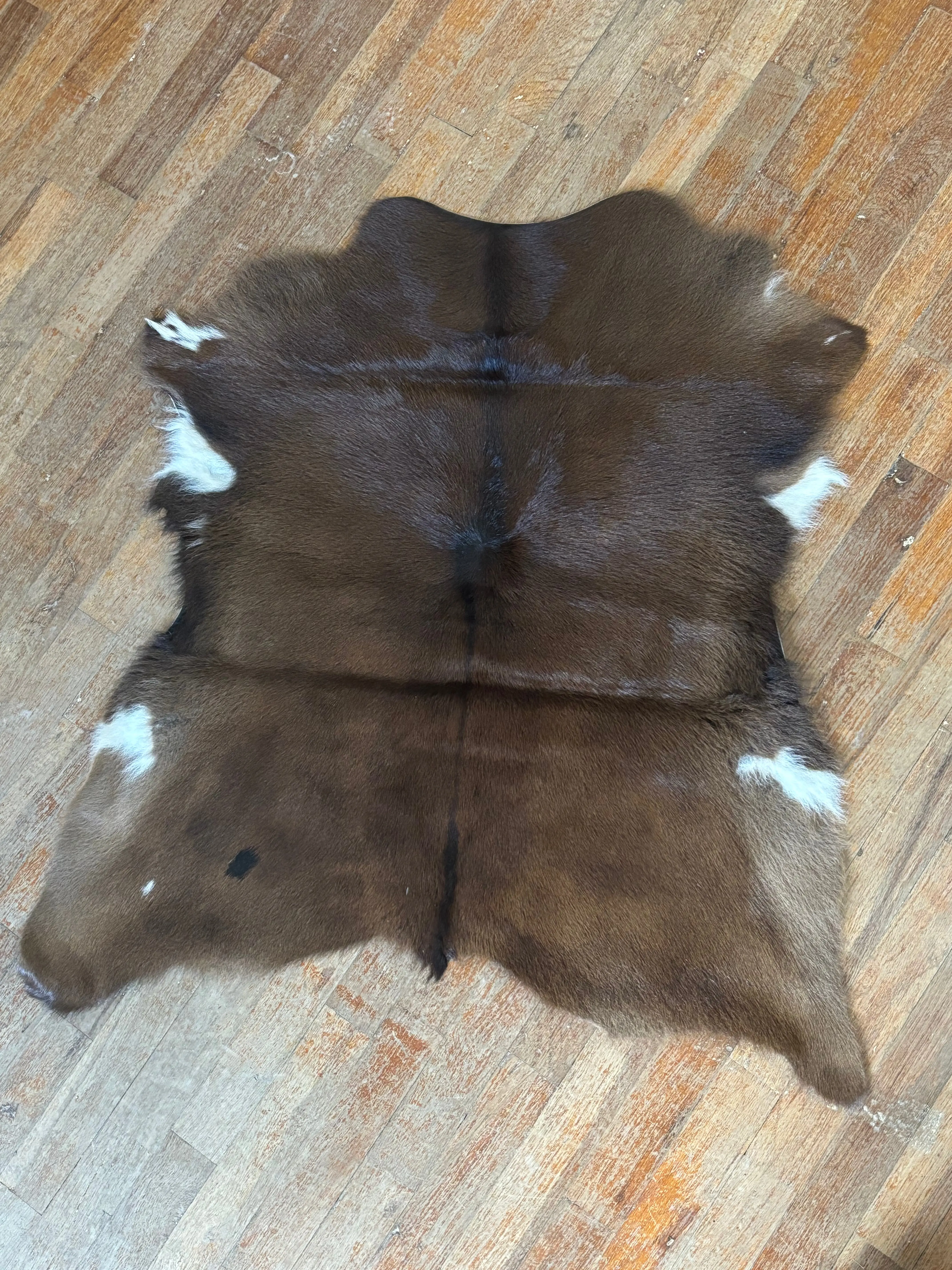 Genuine Leather Light Brown Calf-Size Cowhide Rug, White Accents, Brazilian Hide