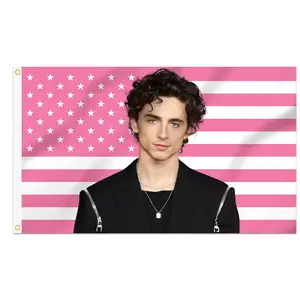 Timothée Chalamet Pink American Flag | Pop Culture Wall Flag | Aesthetic Dorm Room Decor | Viral Statement Banner hot actor wall art tv show tapestry