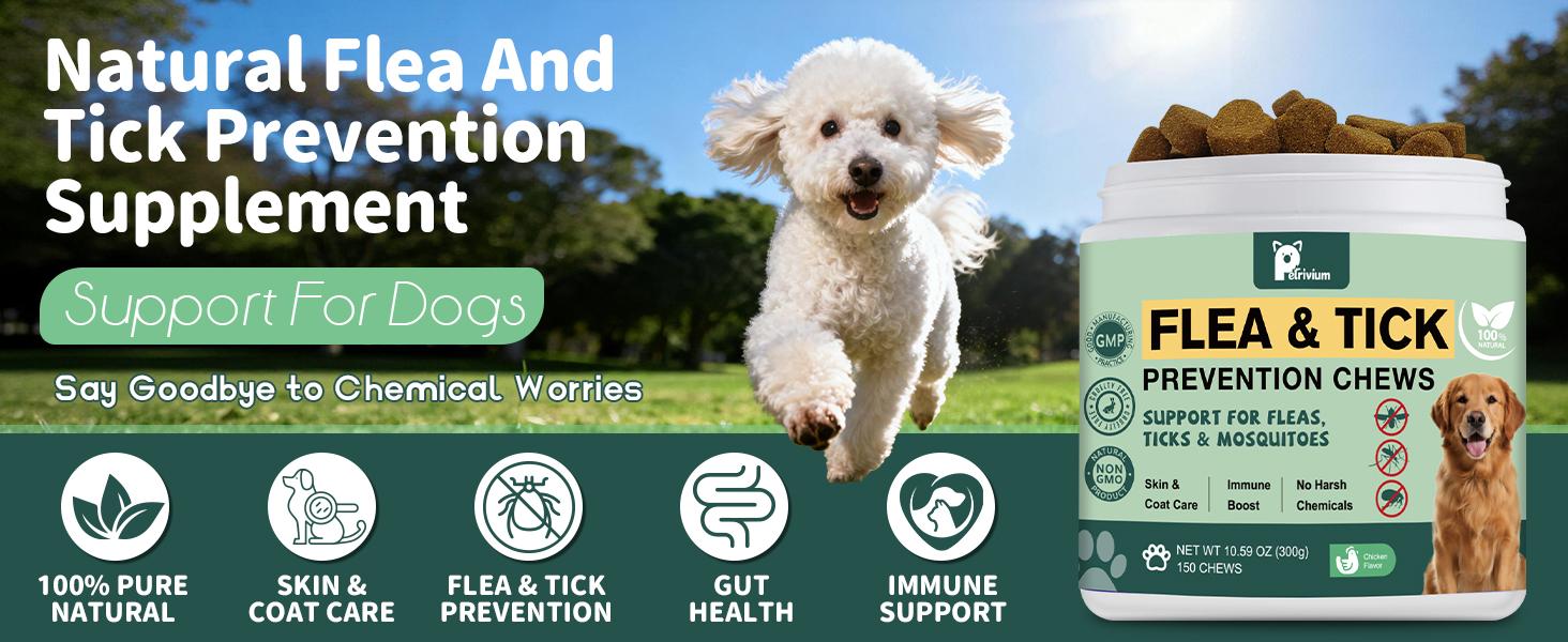 Dog Flea & Tick Support Soft Chews - Natural Oral Supplement - Suitable for All Breeds & Sizes - 150 Chicken Treats