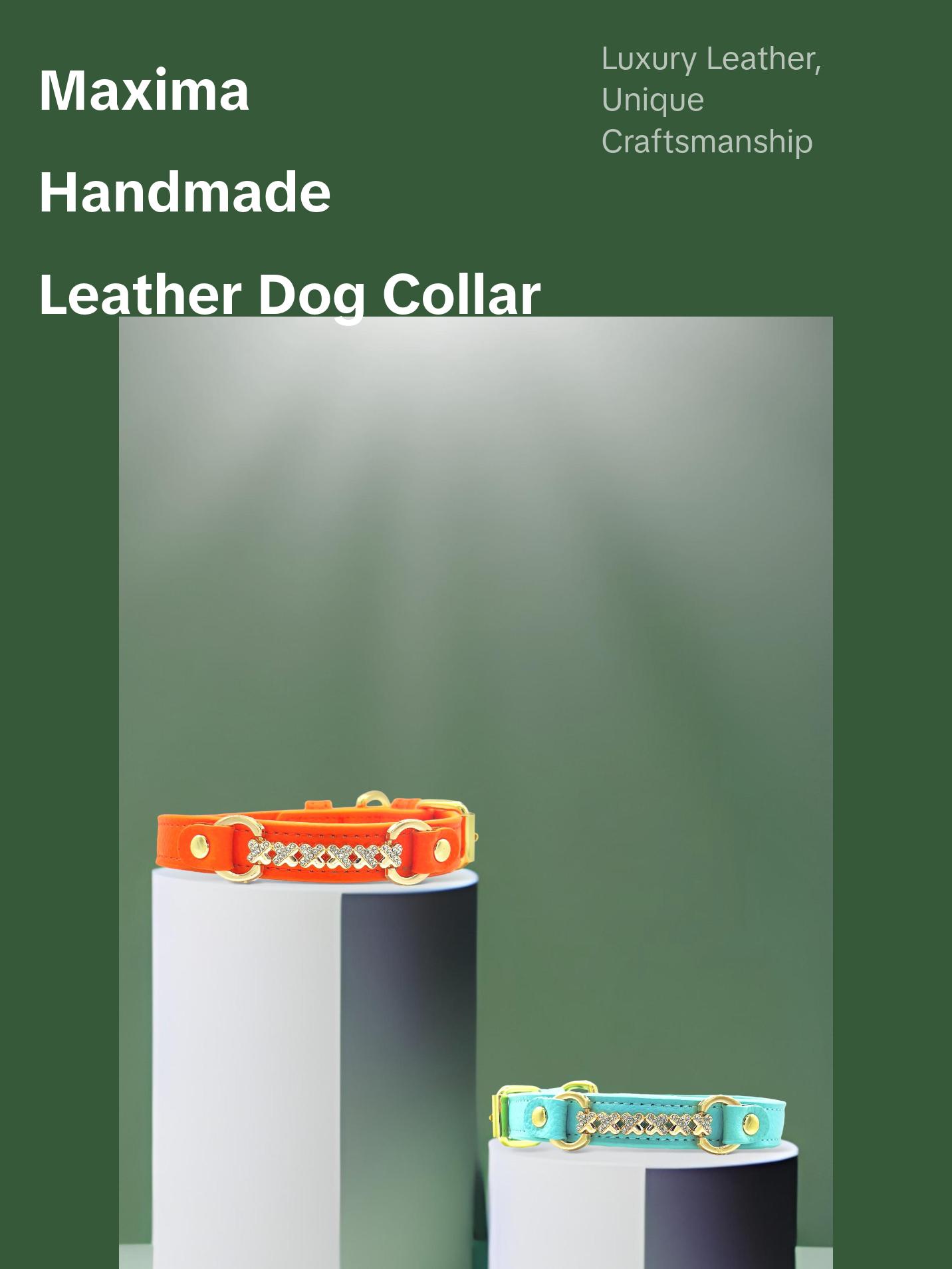 MAXIMA Handmade Leather Dog Collar (Orange and Turquoise)