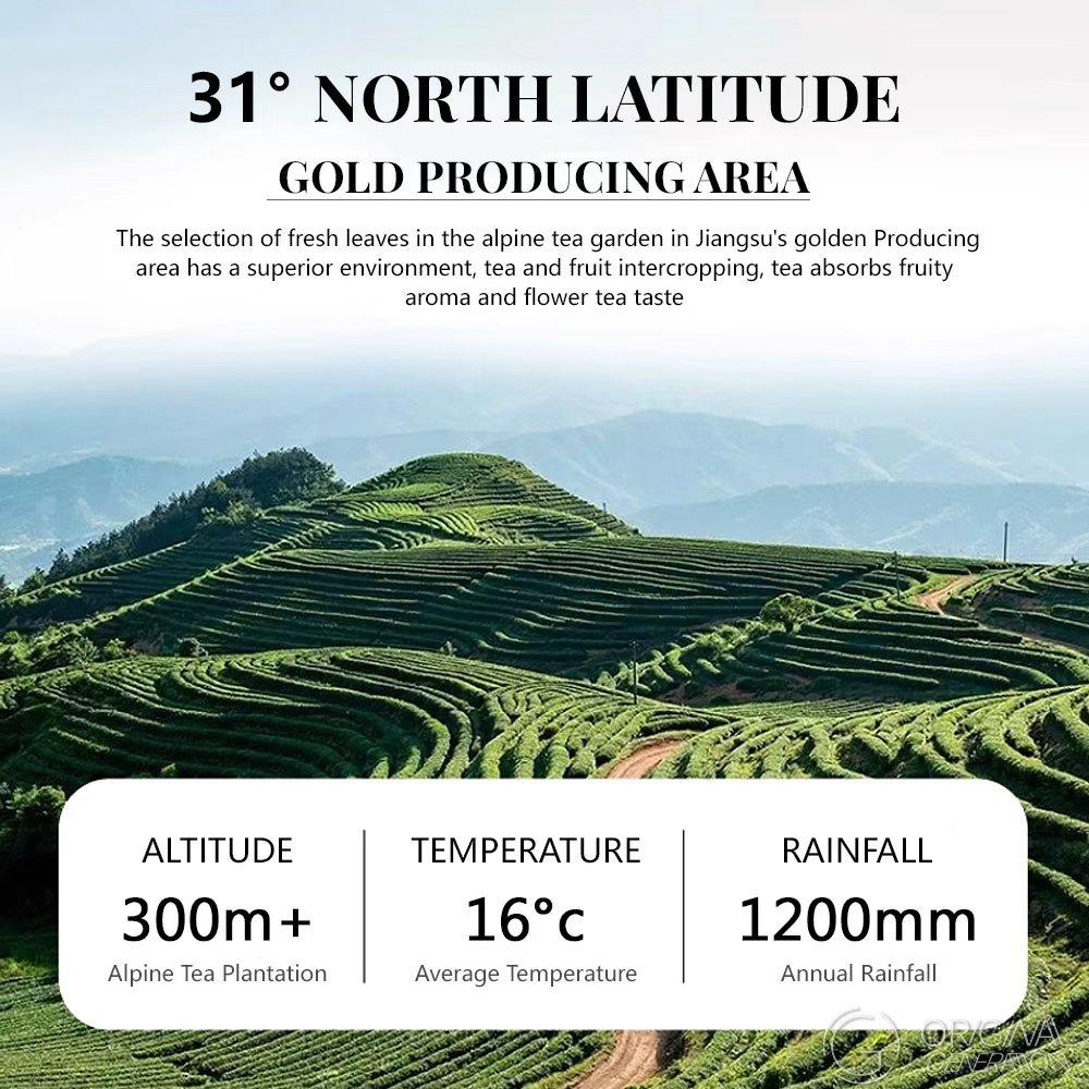 2025 BiLuoChun Green Tea 120g With Magnetic Tea Separator (2.5g×48pcs) 2025 New Green Tea Pan-fried Green Tea 2025 BiLuoChun Green Tea 120g With Magnetic Tea Separator (2.5g×48pcs) 2025 New Green Tea Pan-fried Green Tea