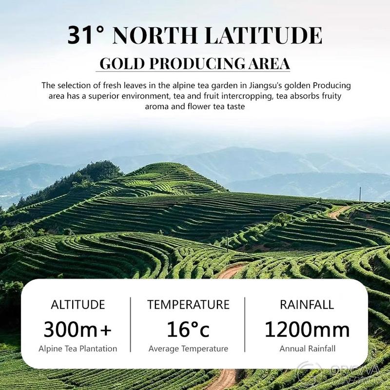 2025 BiLuoChun Green Tea 120g With Magnetic Tea Separator (2.5g×48pcs) 2025 New Green Tea Pan-fried Green Tea