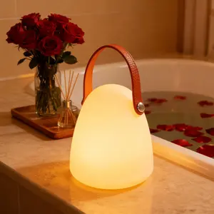 LED Glowing Ball Light with Handle, 7-Inch Cordless 16 Color Changing and 4 Light Modes Night Light, Rechargeable & Dimmable Mood Lamp with Remote Control for Home Parties and Camping