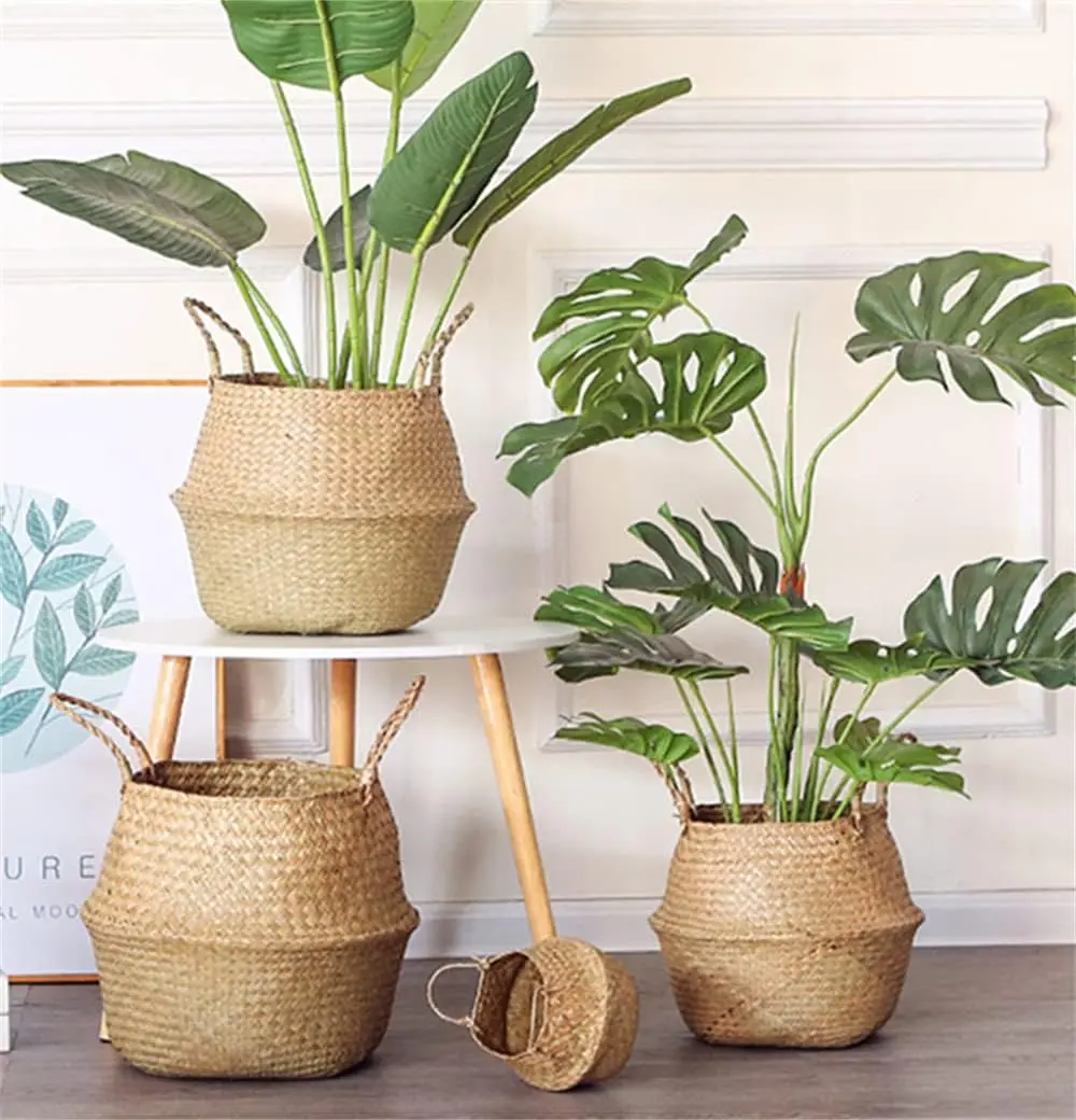 Handcrafted Woven Seagrass Belly Basket with Handles - Eco-Friendly Sustainable Organiser, Chic Woven Indoor Accent, Folding Storage for Monsteras, Garage - 7.5x9 in Multipurpose Home Decor Basket