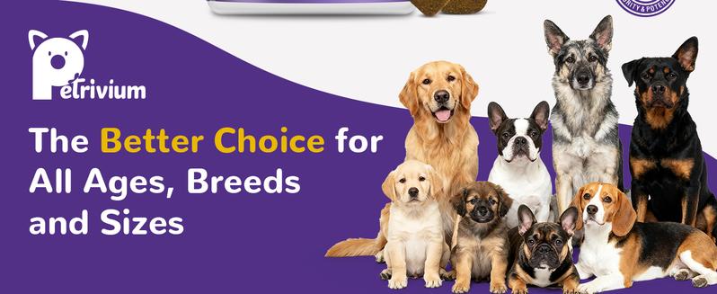 Melatonin for Dogs, Dog Melatonin Calming Chews for Small and Large Dogs - Natural Sleep Aid for Anxiety Stress Relief - Puppy Sleeping Pills - Thunder, Separation, Barking, 3mg, 120ct