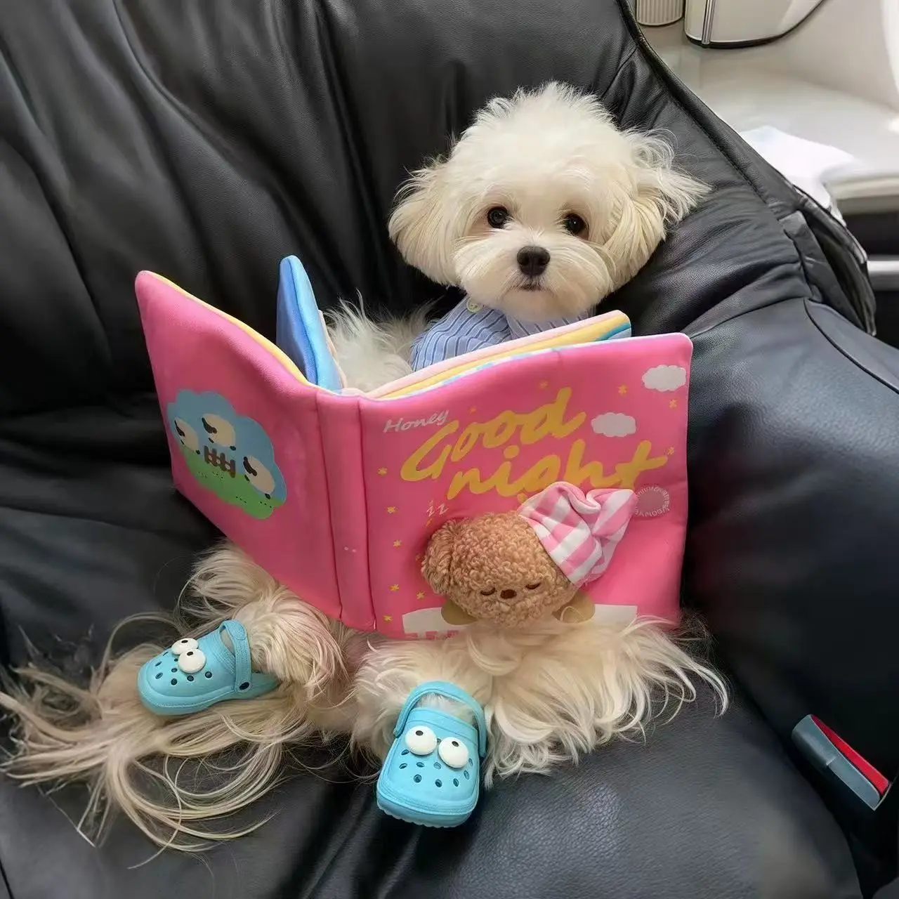 Dog Hidden Treat Toy Pet Sniff Book Intelligence Enrichment Interactive Sound Toy Stress Relief Chew Resistant Durable Chew Pet Supplies