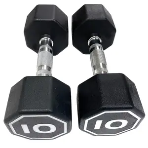 IR3920 Premium Octagonal Dumbbell, Large Numbers, Hard Chrome Plated Handle Dumbbells to Assist with Push-Ups, 10 lbs set of 2