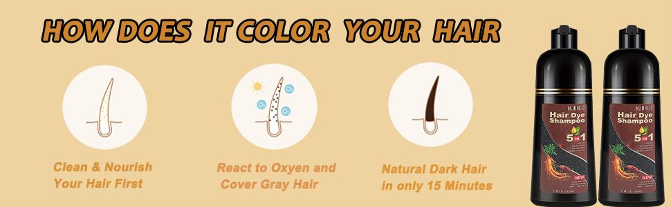 Dark Chocolate 5-in-1 Hair Dye Shampoo – Natural Herbal Formula for Gray Hair Coverage, Instant Hair Color in Minutes, Long-Lasting Color for All Hair Types & Root Touch Up, 500ml Dark Chocolate 5-in-1 Hair Dye Shampoo – Natural Herbal Formula for Gray Hair Coverage, Instant Hair Color in Minutes, Long-Lasting Color for All Hair Types & Root Touch Up, 500ml