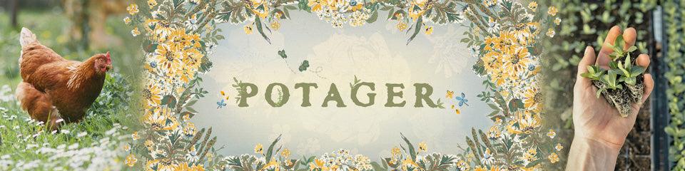 Potager Fabric Collection - Hens and Chicks in Flannel Potager Fabric Collection - Hens and Chicks in Flannel