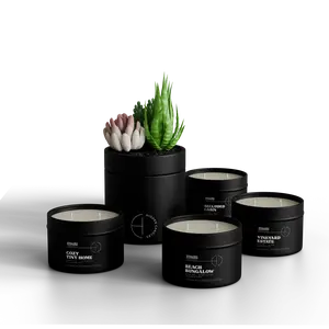 The Discovery Collection