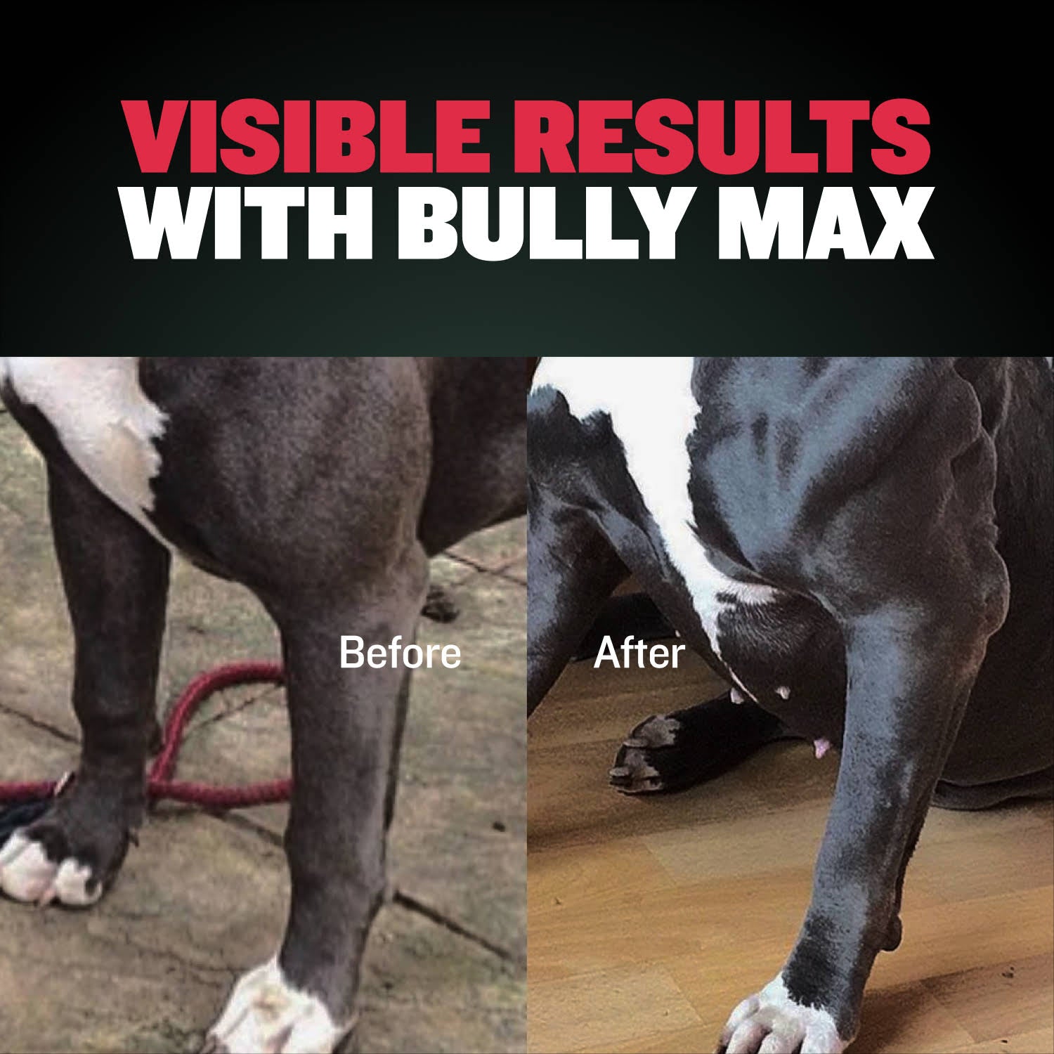 Bully Max 2-in-1 Muscle Builder Chewable Tablets for Puppies & Adult Dogs - Ultimate Canine Dog Supplement for Muscle Gain