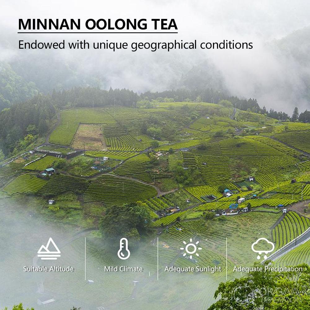 Wloss Tea Oolong Tea With Coffee 70g 5g × 14 pack With High Quality Oolong Tea