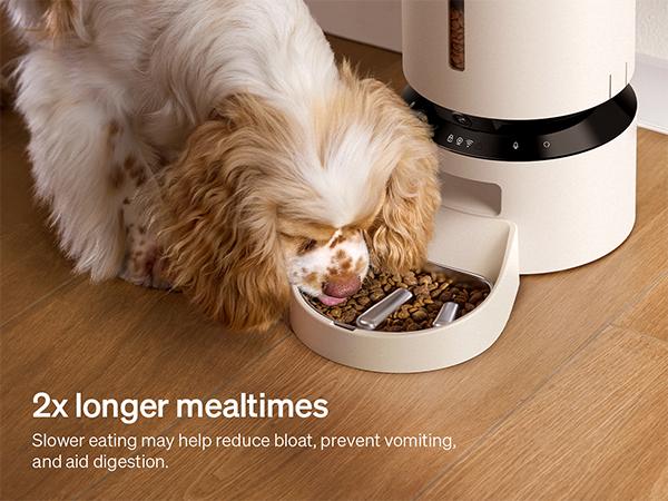 Granary Slow Feeder Bowl