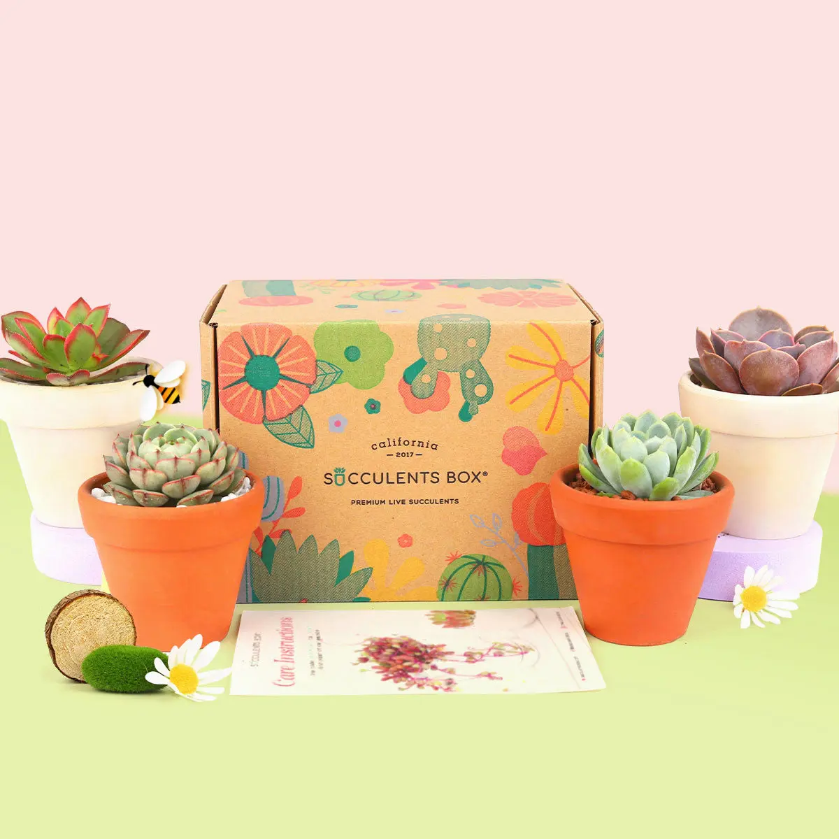 4 Succulents 4 Clay Pots/month - 12 month Subscription Auto renew