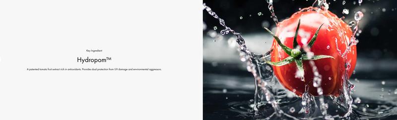 LOOK GOOD DROPS + AM Moisturizer bundle - Skin Tint & Moisturize - Tiege Hanley LOOK GOOD DROPS + AM Moisturizer bundle - Skin Tint & Moisturize - Tiege Hanley