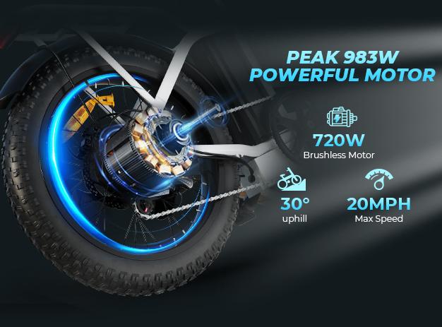 WINDHORSE W4A Foldable Electric Bike, Peak 983W Motor Ebike, 55-70 Miles & 20 MPH, 48V Removable Battery, 20" Fat Tire All-Terrain Electric Bicycle for Adults Teens with 7-Speed, Suspension