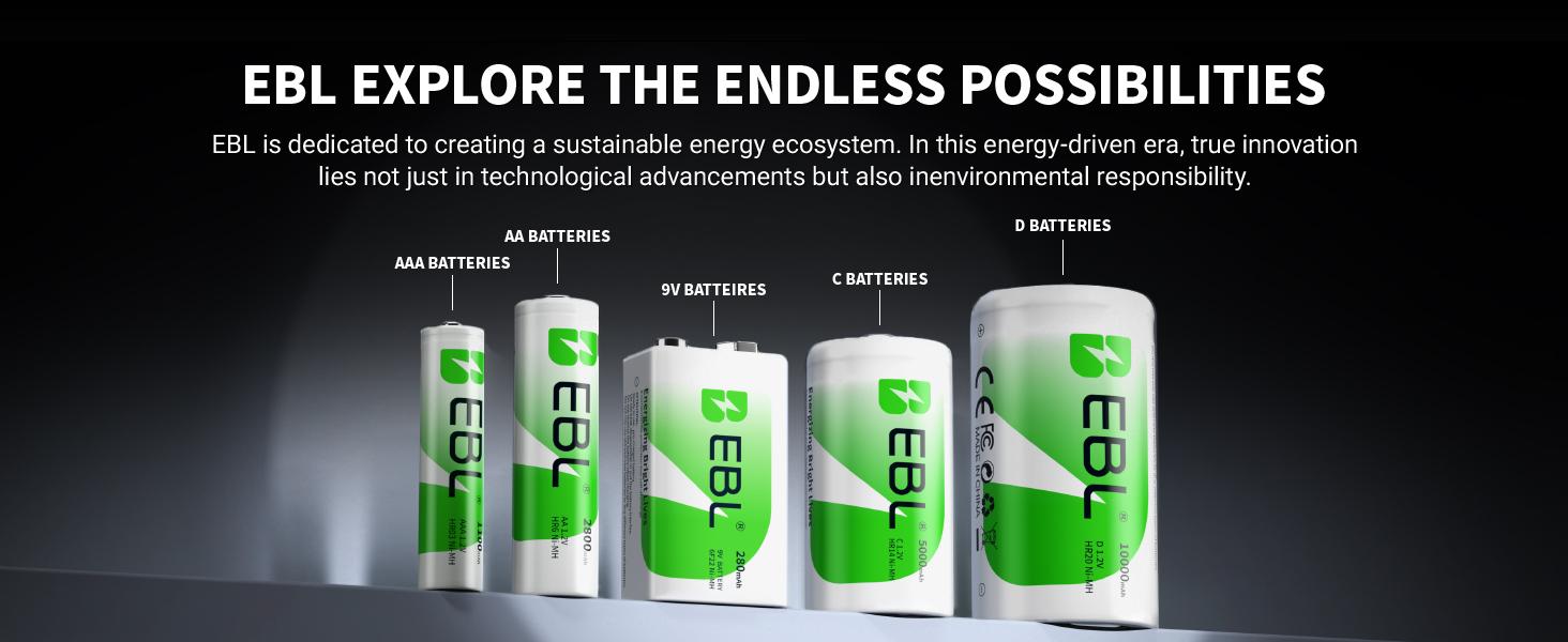 EBL Ni-MH AA AAA Rechargeable Batteries Combo